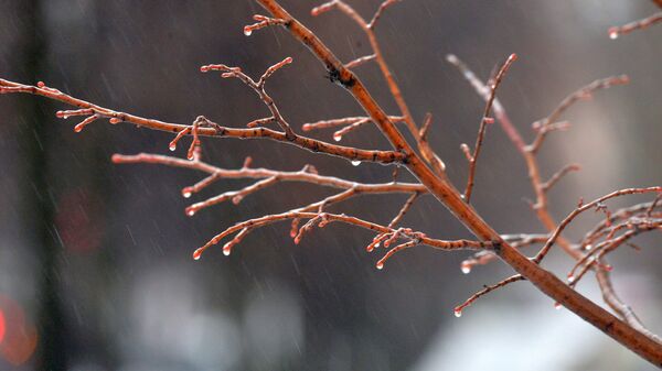 Мокрый снег - Sputnik Latvija