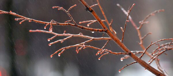 Мокрый снег - Sputnik Latvija