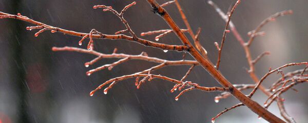 Мокрый снег - Sputnik Latvija