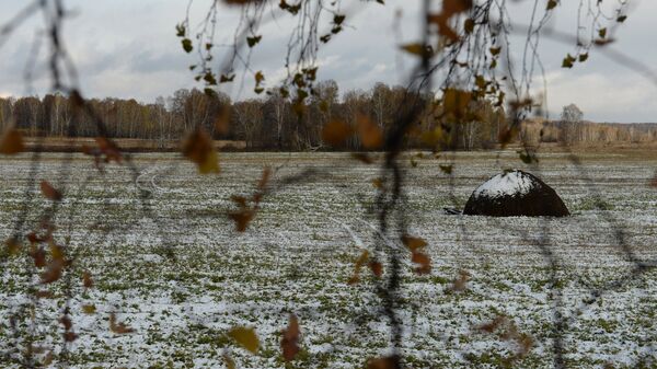 Мокрый снег. Осень - Sputnik Латвия