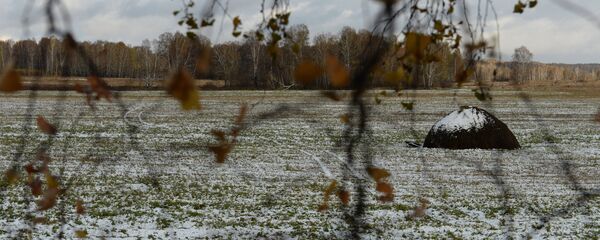 Мокрый снег. Мокрый снег. - Sputnik Латвия