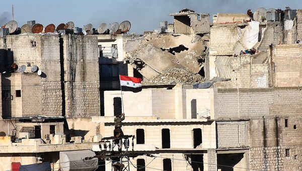 Сирийский правительственный флаг в разрушенном Алеппо - Sputnik Латвия