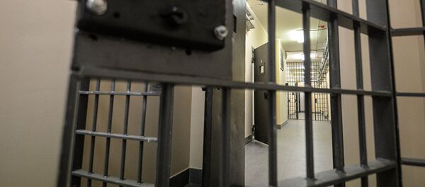 Restes kolonijā Restes kolonijā - Sputnik Latvija