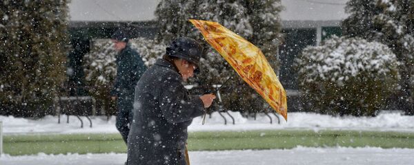 Пенсионерка - Sputnik Латвия