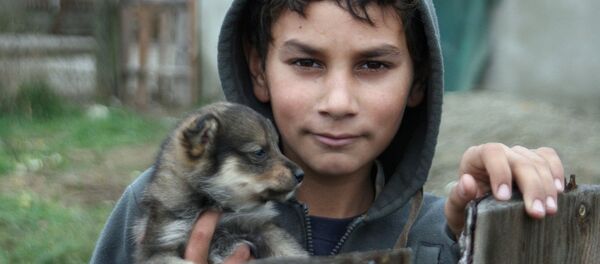 Мальчик из цыганской семьи - Sputnik Латвия