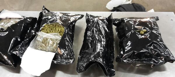 Белорус попался на контрабанде травки: изъято пять килограммов - Sputnik Латвия