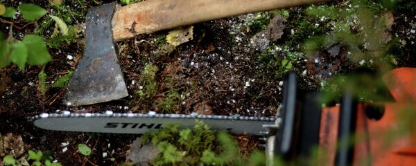 Топор и бензопила на месте валки леса Топор и бензопила на месте валки леса - Sputnik Latvija