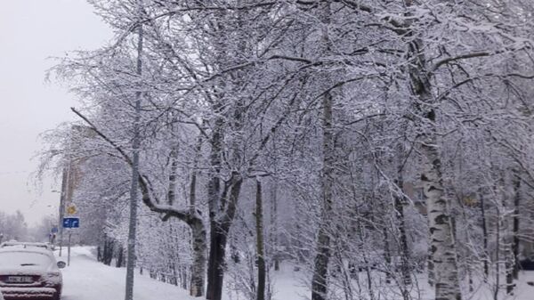 Снег в Риге - Sputnik Латвия