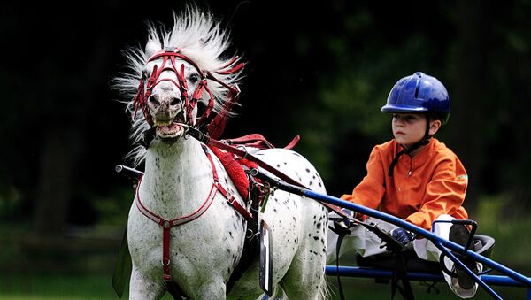 Скачки конный клуб дети. Архивное фото - Sputnik Латвия