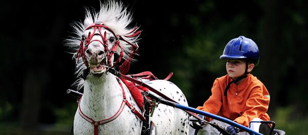 Скачки конный клуб дети. Архивное фото - Sputnik Латвия