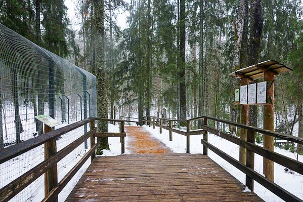 Parkā iekārtoti ērti koka celiņi - Sputnik Latvija