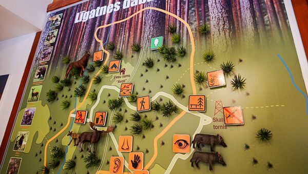 Информационная карта природного парка Лигатне - Sputnik Латвия