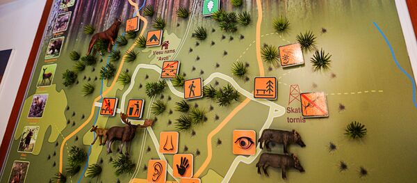 Информационная карта природного парка Лигатне - Sputnik Латвия