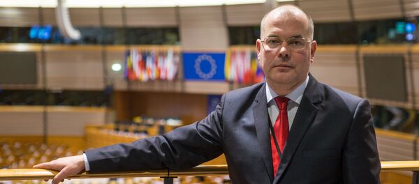 Eiropas Parlamenta deputāts Andrejs Mamikins Eiropas Parlamenta deputāts Andrejs Mamikins - Sputnik Latvija