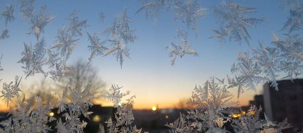 Морозные узоры на стекле - Sputnik Латвия