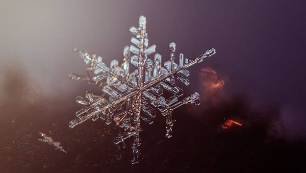 Макросъемка снежинки - Sputnik Латвия