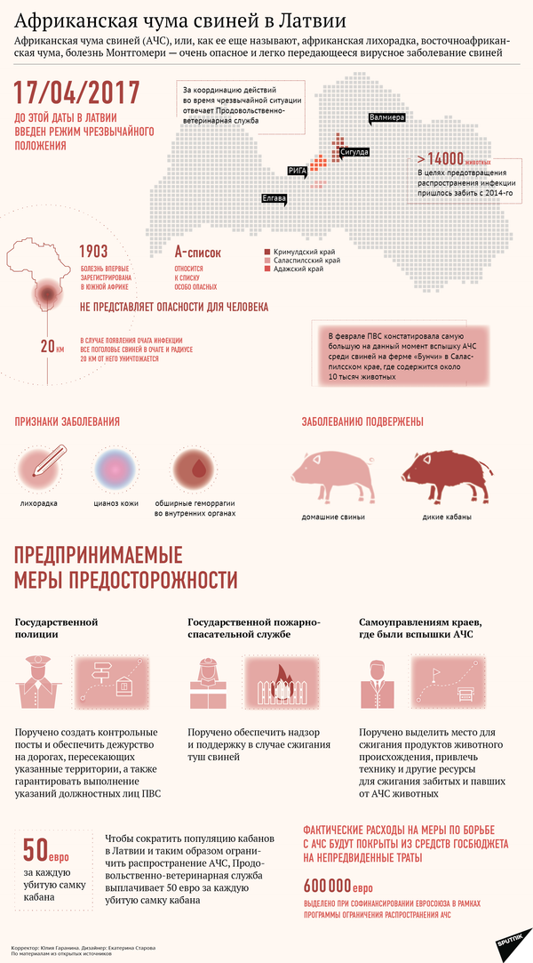 Африканская чума свиней в Латвии - Sputnik Латвия