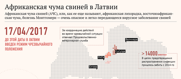 Африканская чума свиней в Латвии - Sputnik Латвия