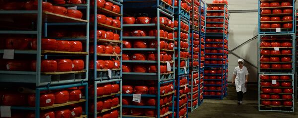 Noliktava siera uzglabāšanai un nobriešanai Noliktava siera uzglabāšanai un nobriešanai - Sputnik Latvija