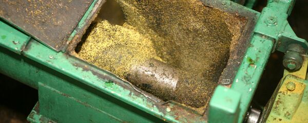 Производство рапса - Sputnik Латвия