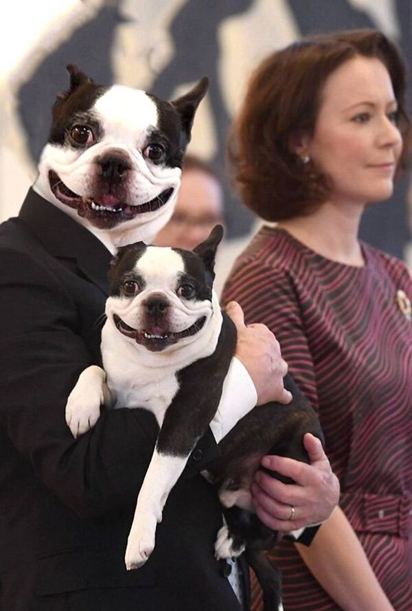 Собаки и владельцы Собаки и владельцы - Sputnik Латвия