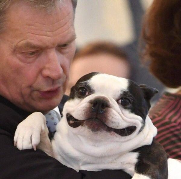 Собаки и владельцы Собаки и владельцы - Sputnik Латвия