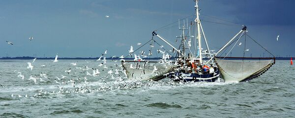 Рыболовное судно и чайки - Sputnik Latvija