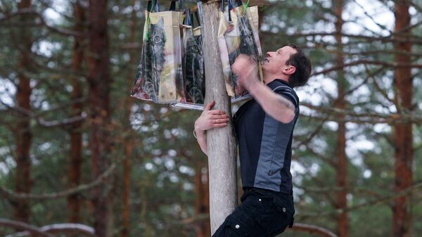 Традиционное развлечение на Масленицу - залезание на столб Традиционное развлечение на Масленицу - залезание на столб - Sputnik Латвия