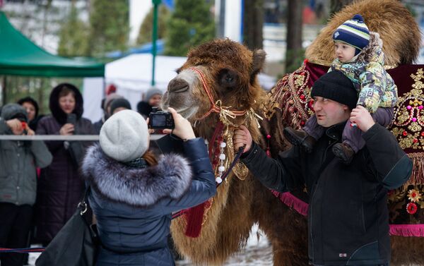 Верблюд пользовался популярностью у детей и взрослых - Sputnik Латвия