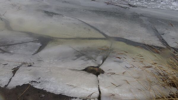 Лед на озере - Sputnik Латвия