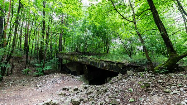 Mašīnu zāle. Ārskats Mašīnu zāle. Ārskats - Sputnik Латвия