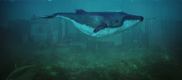 Иллюстрация Синий кит - Sputnik Латвия