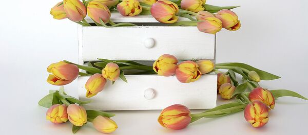 Цветы к празднику - Sputnik Латвия