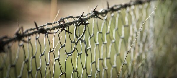 Забор с колючей проволокой Забор с колючей проволокой - Sputnik Latvija