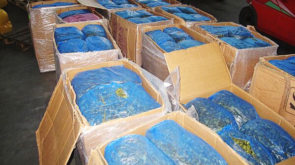 Наркотик кат из Кении, изъятый латвийской таможней - Sputnik Латвия