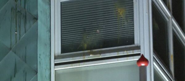 Протестующие забросали посольство Нидерландов в Анкаре яйцами Протестующие забросали посольство Нидерландов в Анкаре яйцами - Sputnik Латвия