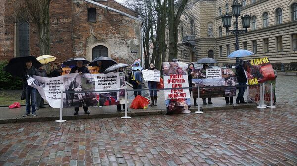 Пикет Общества поддержки Рижского цирка - Sputnik Латвия