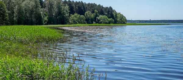 Озеро в Латвии - Sputnik Латвия