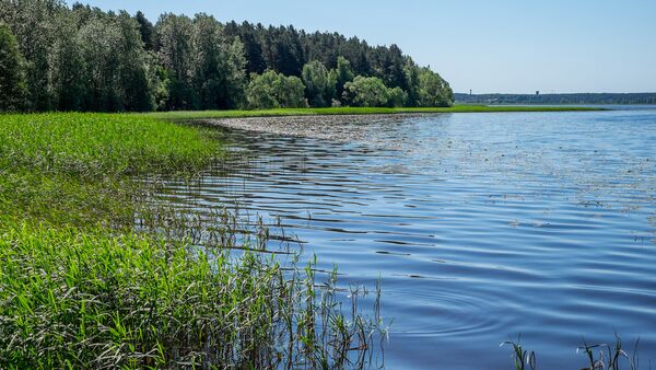 Озеро в Латвии - Sputnik Латвия