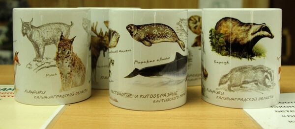 Эксклюзивная сувенирная серия просветительских кружек Калининградского зоопарка - Sputnik Латвия