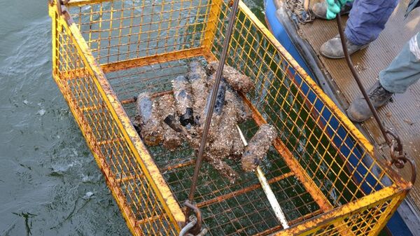 Снаряды времен Второй мировой войны на дне Балтийского моря - Sputnik Латвия