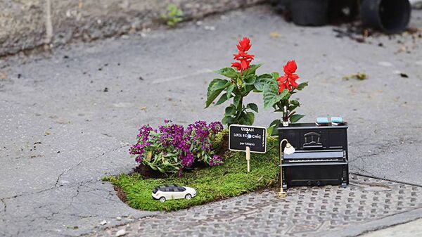 Мероприятия на Калнциемском базарчике - партизанское садоводство Мероприятия на Калнциемском базарчике - партизанское садоводство - Sputnik Латвия