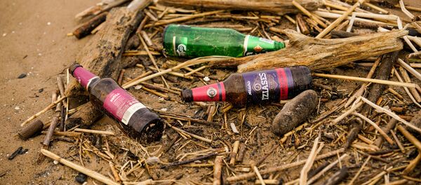 На пляже Вецаки довольно чисто, но встречаются и островки мусора - Sputnik Латвия