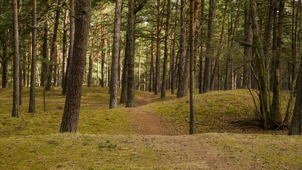 Тропинка в дюнах в Вецаки - Sputnik Латвия