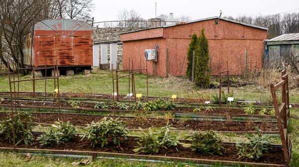 Помещения обсерватории соседствуют с грядками Ботанического сада Помещения обсерватории соседствуют с грядками Ботанического сада - Sputnik Латвия