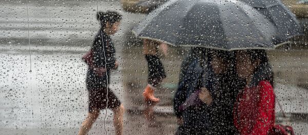 Lietus Lietus - Sputnik Latvija