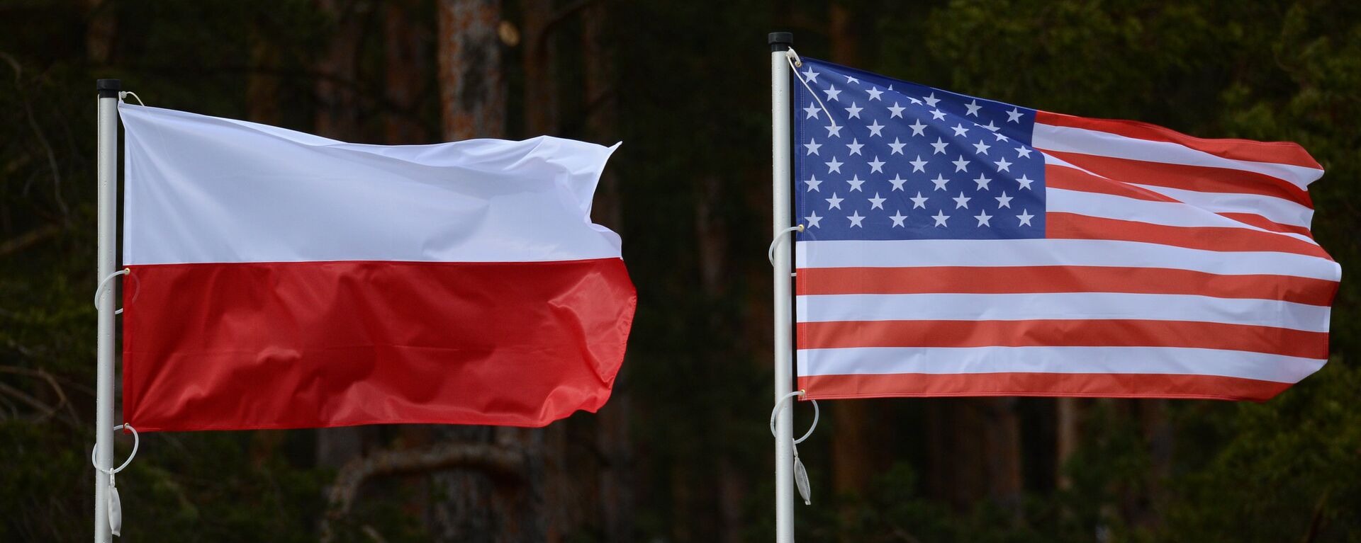 Флаги США и Польши - Sputnik Латвия, 1920, 27.07.2021