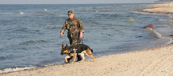 Robežsargs ar dienesta suni Robežsargs ar dienesta suni - Sputnik Latvija