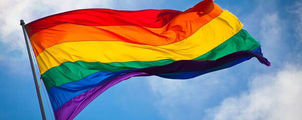 LGBT karogs. Foto no arhīva LGBT karogs. Foto no arhīva - Sputnik Latvija
