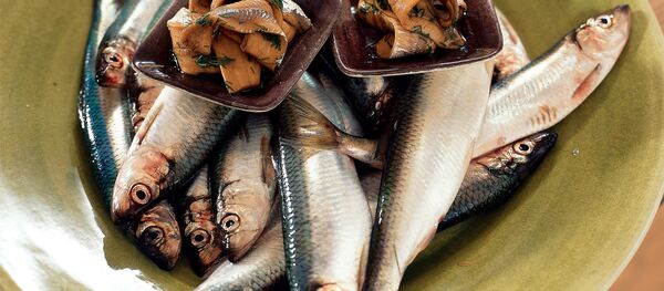 Салака на блюде - Sputnik Латвия